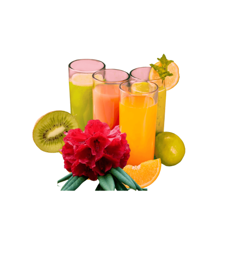 170a7785-7477-4dc5-99e4-0b4335146d61